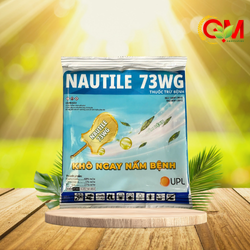 nautile-73wg