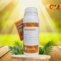 maturando